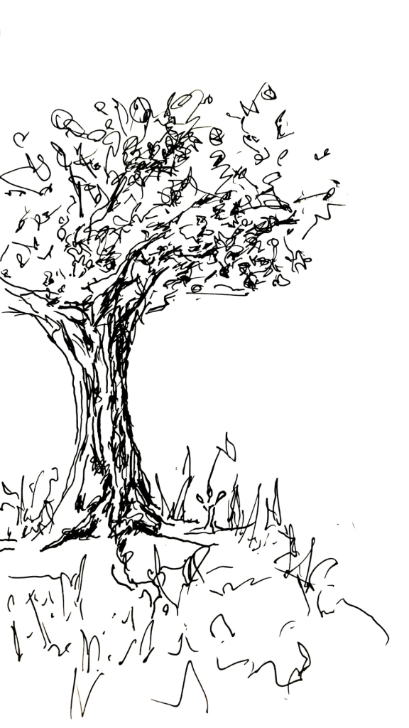 drawing of tree
