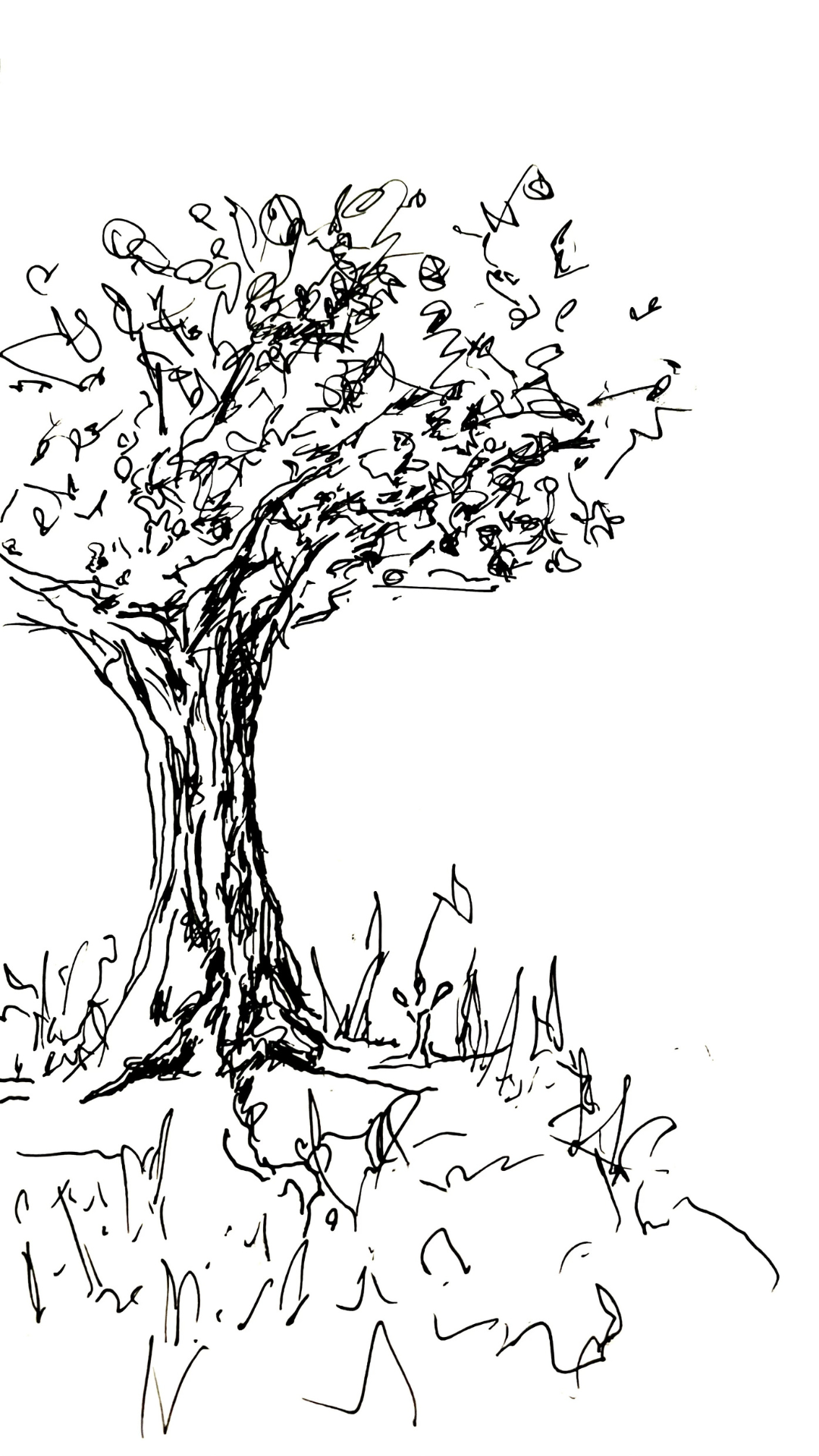 drawing of tree